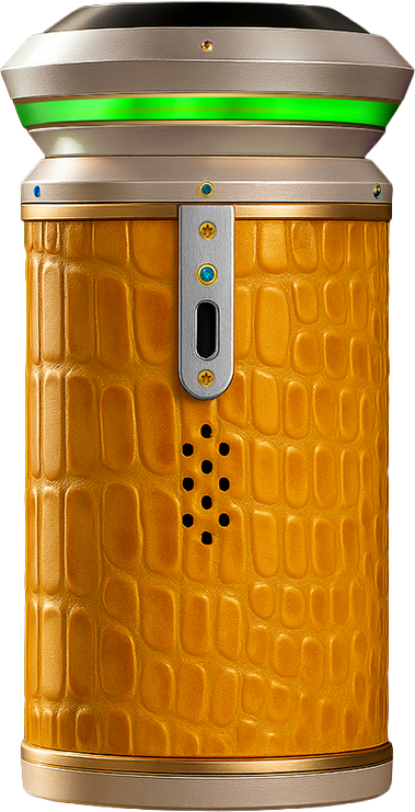 LEATHER EDITION